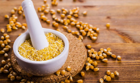 Maize Grits Supplier