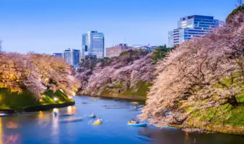 compare Tokyo hotels on Traveloka
